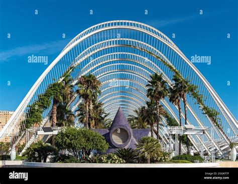 City of Arts and Sciences (Ciutat de les Arts y les Ciencies).